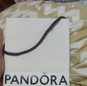 Small Pandora gift bag